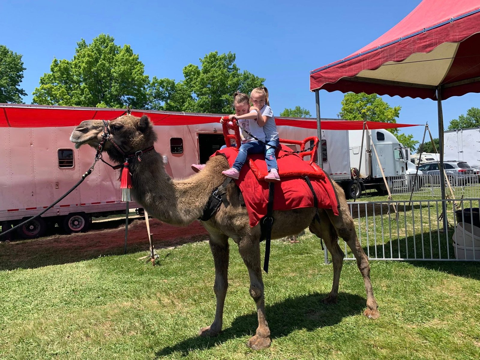 Camel Ride